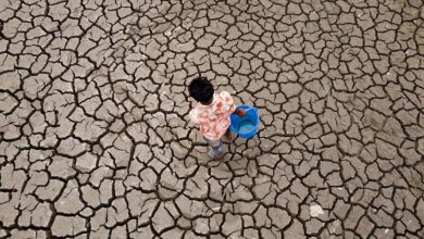 Photo of Global temperatures set to stay near record levels: UN weather agency