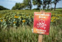Photo of UN urges adherence to mine ban treaty