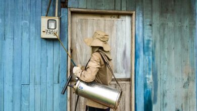 Photo of From malaria to energy: Why solutions from the Global South aren’t reaching the people who need them most