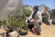 Photo of Reviving communities home by home in Gaza