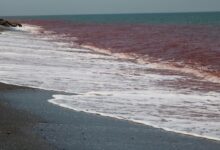 Photo of Strait of Hormuz: Gradual re-opening is no quick fix for developing nations, UN warns