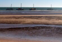 Photo of UN refugee agency reports 144 migrants dead or missing off Mauritanian coast