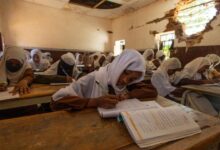 Photo of World News in Brief: Risk of atrocities in Sudan, UN programme prevents climate displacement, more civilians killed in Ukraine