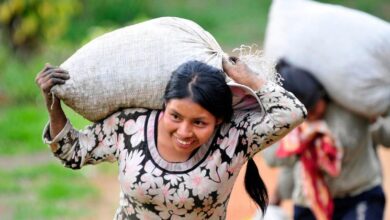 Photo of Colombia: Pockets of insecurity challenge ‘vibrant democracy’, Security Council told