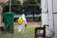 Photo of Global Ebola cases top 1,000 as UN races to reach DR Congo’s most vulnerable