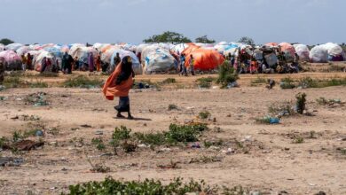 Photo of In Somalia, AI is helping deliver food to hungry families