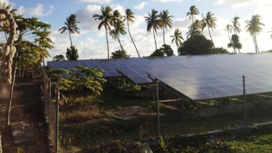 Photo of The clean energy transition needs land. Can it help restore it too?