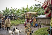 Photo of World News in Brief: Sexual violence in DR Congo, deaths in Ukraine and Russia, crime in Southeast Asia