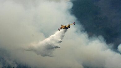 Photo of Wildfires: Prevention is the best defence, UN says