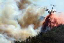 Photo of As wildfires spread north, UN agencies race to help Europe adapt