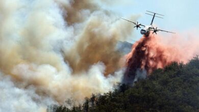 Photo of As wildfires spread north, UN agencies race to help Europe adapt