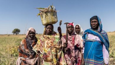 Photo of Sudan’s farmers are ready to return – private investment could get them there