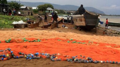 Photo of ‘The lake is our life’: Protecting a shared lifeline in Uganda