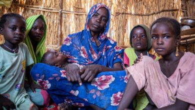 Photo of ‘Efficiency has limits’: UNHCR chief warns refugee protection is buckling under cuts