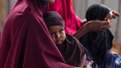 Photo of Somali families face renewed violence amid worsening hunger crisis