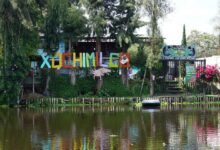 Photo of ‘He felt heard’: How a film brought a UN report to life in Xochimilco