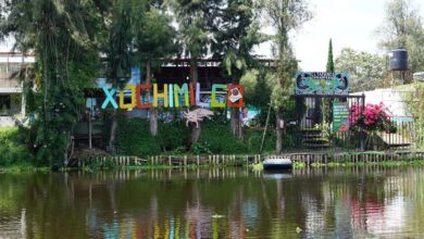 Photo of ‘He felt heard’: How a film brought a UN report to life in Xochimilco