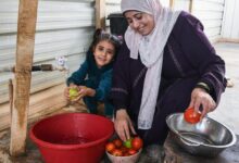 Photo of World News in Brief: Refugee funding, US migration policy triggers ‘cascade’ of rights violations, world forests report, restorative justice in Colombia