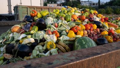 Photo of Clean your plate – to reduce food loss and waste