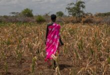 Photo of How El Niño offers a test of whether the world can adapt to a changing climate