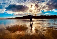 Photo of LIVE: Climate change is here – What happens next is still in our hands