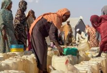 Photo of Sudan: Drought and war push Darfur and Kordofan towards famine