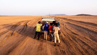 Photo of Djibouti faces ‘overlapping emergencies’ as Yemen’s refugee exodus continues