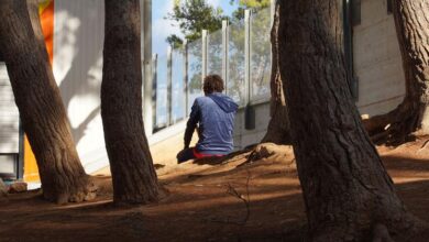 Photo of World News in Brief: Child migrants in Europe, Greenland forced contraception scandal, FAO hunger updates